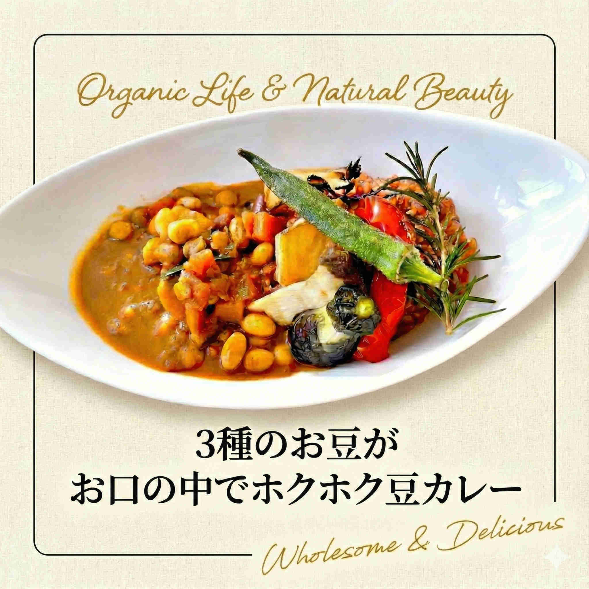 チャヤマクロビ 豆カレー レトルト 200g 国産 無添加 常温保存 長期保存 スパイス ベジタブルカレー 野菜カレー 中辛 防災 保存食 ヴィーガン マクロビ プラントベース