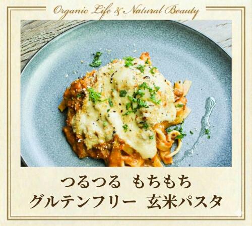 チャヤマクロビ 玄米パスタ（太麺） 100g 1個