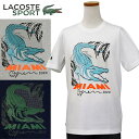 Lacoste ラコステ Men'sビッグラコステ 半袖プリントTシャツ【2020-Spring/NewModel】Lacosteラコステ Tシャツプレゼント 送料無料XL大きいサイズ