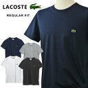 Lacoste ラコステ Men'sワンポイント半袖TシャツLacosteラコステ Tシャツ送料無料 父の日ギフト プレゼントXL大きいサイズ