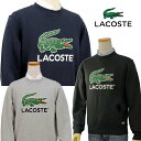 Lacoste ラコステ Men 039 sビッグラコ プリント トレーナー【2023-NewModel】ギフト プレゼントXL,XXL大きいサイズ