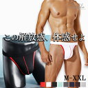 メンズビキニ 男性ビキニショーツ ふんどしパンツ ビキニブリーフ メンズ下着 メンズショーツ ビキニ ふんどし ふんどし風 男性下着 アンダーウェア メンズ 肌...
