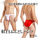 メンズビキニ 2枚セット 紅白セット 男性ビキニショーツ ふんどしパンツ ビキニブリーフ メンズ下着 メンズショーツ ビキニ ふんどし ふんどし風 男性下着 アンダーウェア メンズ 肌着 タンガビキニ タンガ 紅白 紅白カラー 赤パンツ