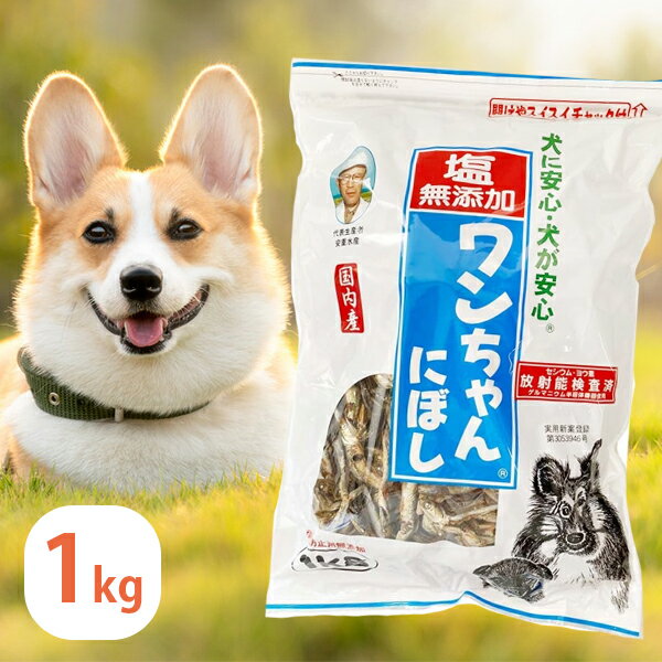 犬 おやつ 塩無添加 国産 ワンちゃんにぼし お徳用 1kg 犬用 おつまみ煮干し ドッグフード 大容量 サカモト ペット