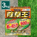 フマキラー 除草剤 カダン 除草王 オールキラー 3kg 粒剤 雑草 庭 園芸用品 農業 畑 雑草対策 雑草除去 業務用 強力 家庭用 顆粒 広範囲