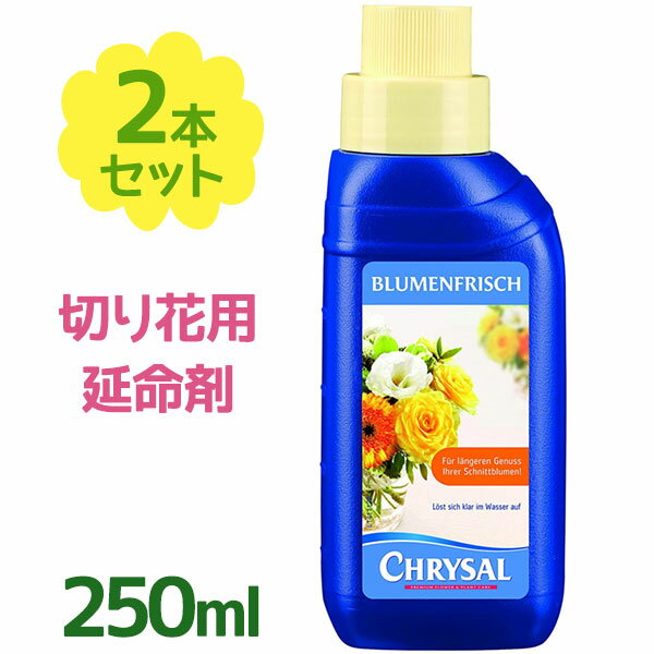 全ての切り花にご使用いただける、ご家庭用の切り花栄養剤です。pHを下げ、水揚げを促進し、花を大きく咲かせ、萎凋や変色を抑制します。水のみと比べると、切り花の日持ちが大幅に長くなります。5ml、10mlのメモリ付きキャップなので、50倍希釈（水1Lに20ml）でご使用ください。フラワーフードを入れた水の場合、基本的には水替えは不要で、減った分を足していくので、500mlのペットボトルの作り置きすると、注ぐだけとラクちんです♪花束と一緒にお渡しすれば、ご家庭での観賞期間が長くなるので、受け取った方にも喜ばれます。お花のレッスンや生花教室、フラワーデザインスクールなどにもお役立てください。商品名クリザール フラワーフード内容量250ml×2本セット成分糖類、抗菌剤、有機酸原産国オランダブランド・メーカークリザール・ジャパン株式会社【検索用】