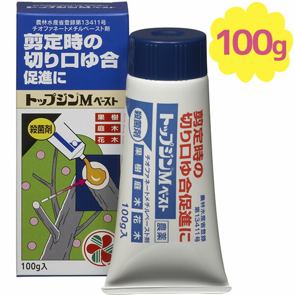 住友化学園芸 トップジンMペースト 100g 殺菌剤 樹木の切り口 剪定 野菜・果物作り 家庭菜園 ガーデニング 園芸用品