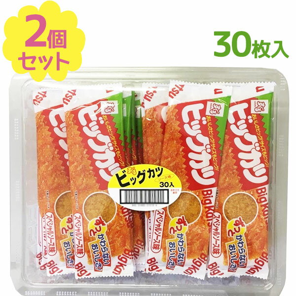 駄菓子 ビッグカツ 30枚入×2個セット スペシャルソース味 お菓子 おやつ 間食 スナック菓子 おつまみ 小腹 大人買い まとめ買い すぐるのサムネイル