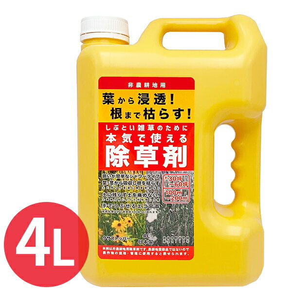 除草剤 非農耕地用 4L 雑草対策 液体タイプ 大容量 業務用 日本製 多年生雑草 スギナ 庭 公園 道路 駐車場 宅地 CLEAN HOUSE