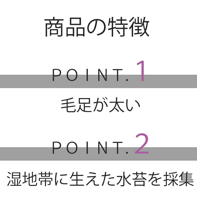 �ڥޥ饽����ꥯ���ݥ��500��OFF!�ۿ��� 500g �ߥ����� �头�� ���ƻ� �����ڱ� �����ǥ˥� �������� ��ĳ�� ���� ��� �����ɻ� ���տ�ʪ ������� ������ ��̳�� ��������� ������ ������