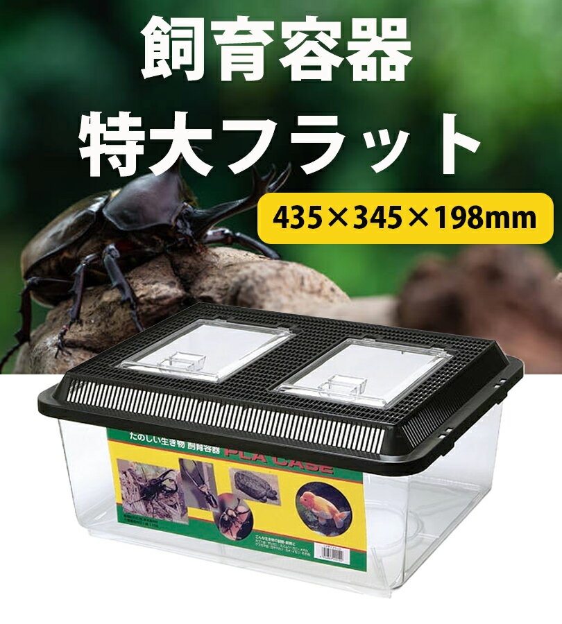 【送料無料】 飼育ケース 特大フラット 黒 スリットフタ プラケース 飼育容器 亀 カブトムシ クワガタ メダカ 金魚 爬虫類 生体 観察 成虫 幼虫 プラスチック クリア 透明