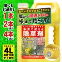 【レビューで限定500円クーポンプレゼント!】除草剤 非農耕地用 4L×2個セット 雑草対策 草刈り不要 液体タイプ 大容量 業務用 家庭用 日本製 多年生雑草...