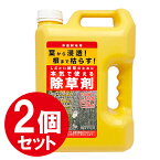 【クーポン利用で￥500オフ！】 除草剤 非農耕地用 4L×2個セット 雑草対策 草刈り不要 液体タイプ 大容量 業務用 家庭用 日本製 多年生雑草 一年生雑草 除去 スギナ 根から枯らす 根こそぎ 庭 公園 道路 駐車場 宅地 強力 【～2024年4月27日(土)09:59まで】