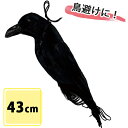【マラソン限定クーポンで500円OFF!】ダミーカラス 43cm カラスよけ 対策 ベランダ 庭 マンション 一軒家 自宅用 家庭用 模型 人形 偽物 リアル ...