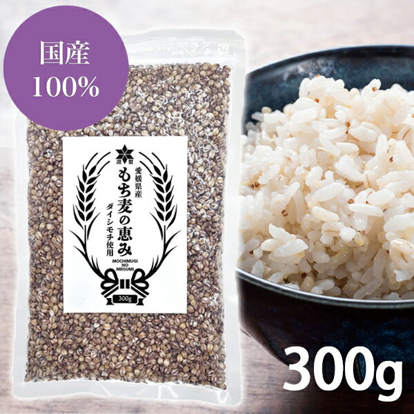 ダイシモチ もち麦 国産 チャック付きパック入り 300g 愛媛県産 美味しい 主食 炊飯 精麦 紫もちむぎ 大麦 押し麦 雑穀 ごはん 食物繊維のサムネイル