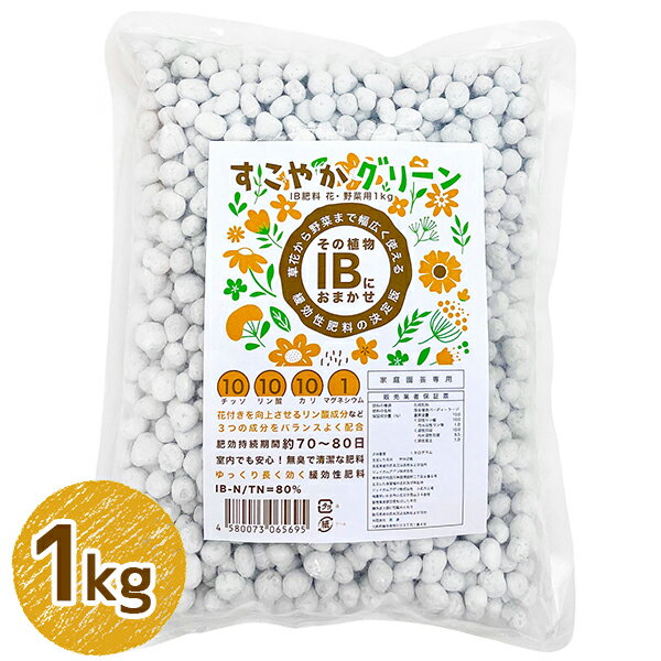 IB 化成肥料 大粒 顆粒 1kg 花・野菜用 土壌改良 成長促進剤 栄養剤 水稲 追肥 置き肥 元肥 家庭菜園 業務用 ガーデニング 植木 観賞植物