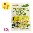 【スーパーSALEで使える!500円OFFクーポン配布中!】プロポリスのど飴 80g×5袋セット 1粒に100mg入り サンフローラ