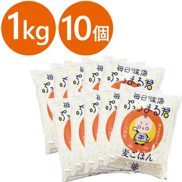 西田精麦 毎日健康 ぷちまる君 1kg×10袋セット 熊本県