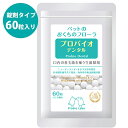  プロバイオデンタルペット 60粒 錠剤タイプ バニラ味 犬猫用 口腔善玉菌 サプリメント ペット用品 