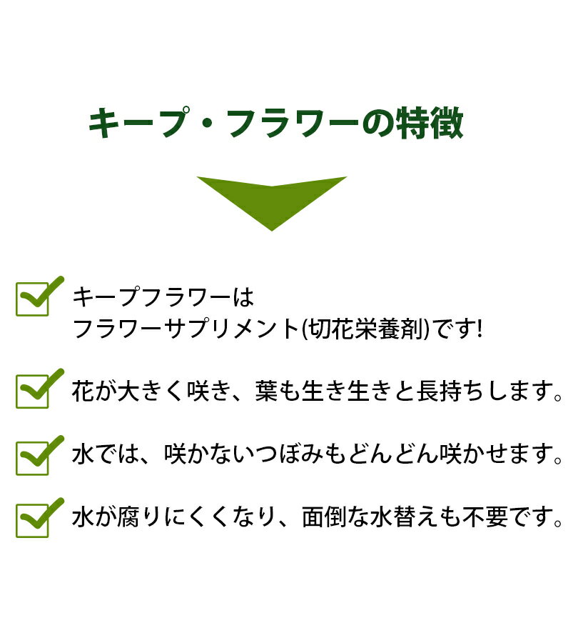 �ե��������� �ڤ�ֱ��ܺ� �����ס��ե� 2L ��̿�� �ڤ�ֳ��Ϻ� ��̳�� �ե�����󥸥���