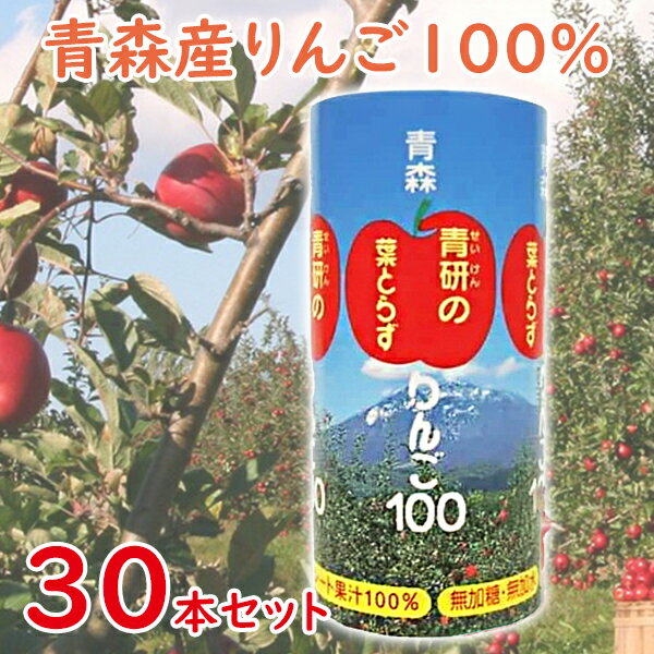 青森県産 青研 葉とらずりんごジュース ストレート100 果汁 195g×30本セット 無添加 国産 紙パック ギフト アップルジュース アップルジュース