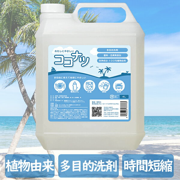  環境洗剤(エコ洗剤) 衣類・キッチン用 ココナツ洗剤 4L×2個セット 多目的 香料無添加 洗浄剤 ブルーシーインターナショナル 