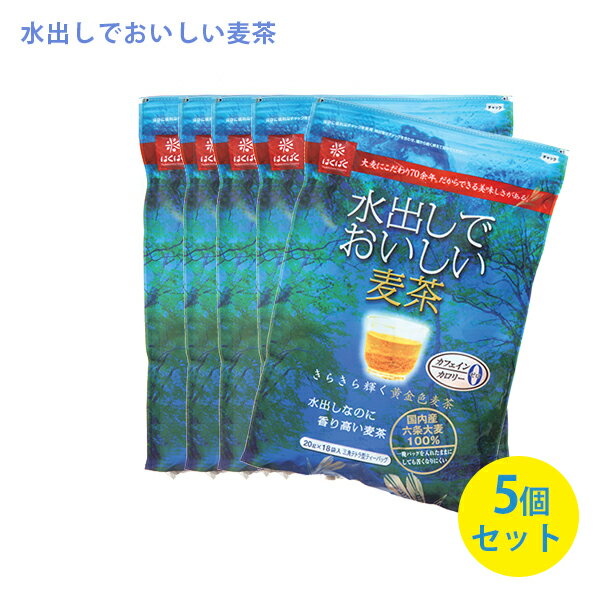 はくばく 水出しでおいしい麦茶 18袋入×5個セット テトラパック 国産六条大麦100％ ノンカフェイン