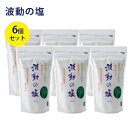  波動の塩 450g×6個セット 金箔入り チャック付きポリ袋入り 調味料 食塩 お清めの塩 料理 ギフト 持ち歩き 