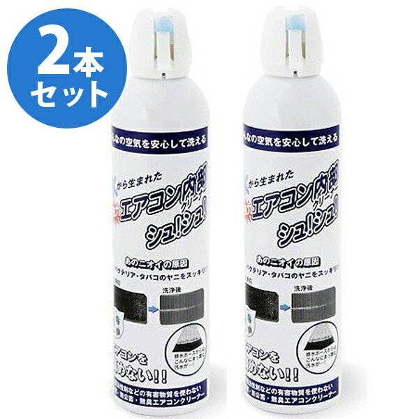 エアコン内部クリーナー 420ml×2本セット 超電水エアコン内部クリーナーシュ