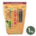 特別栽培米 大潟村あきたこまち 発芽玄米 (無洗米) 1kg 国産 栄養機能食品(鉄分) 秋田県