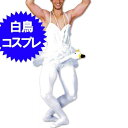 【楽天1位】＼1000円 ポッキリ／スクール水着 スク水 コスプレ シースルー 薄手 透け ネイビー ホワイト セクシー 学生 衣装 仮装 ハイレグ 男子 メンズ レディース 女子高生 高校生 中学生 余興 イベント メール便 送料無料