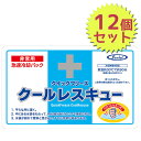 クイックフリーズ クールレスキュー 瞬間冷却パック 12個セット 約90分冷却 大判サイズ