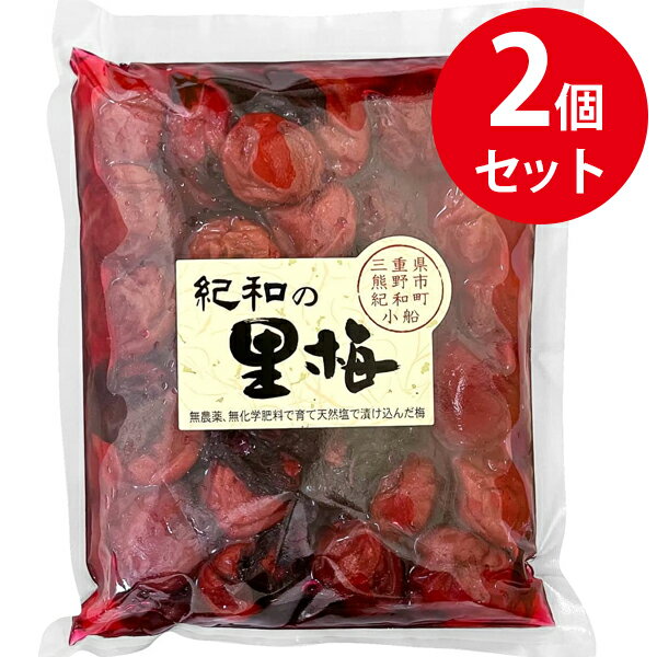 【ふるさと納税】たっぷりと陽にあてた ふる里の懐かしい「天日干し梅ぼし」1.2kg fz23-212 梅干 梅干し 手作り