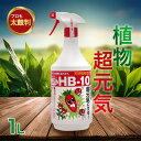 フローラ HB-101 希釈済みタイプ スプレーボトル 1L 植物活力剤 観葉植物 切り花 園芸 家庭菜園 液体肥料 栄養剤 仏花 hb101