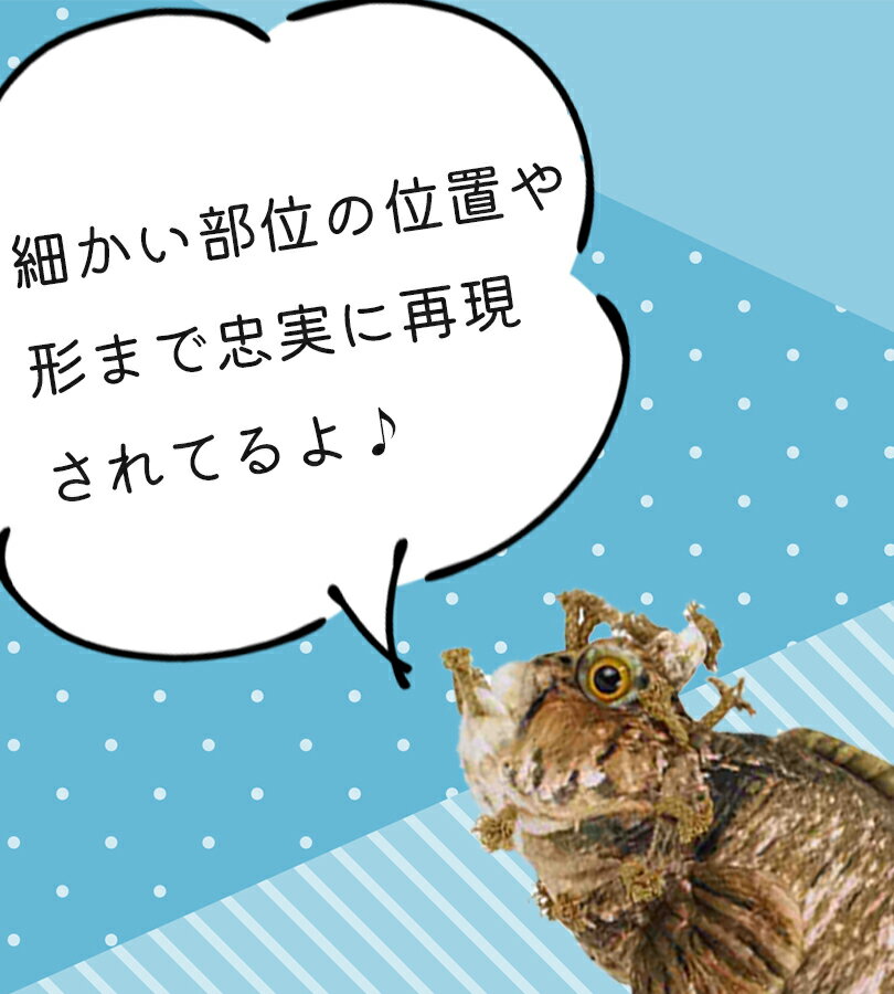 【送料無料】 おさかなぬいぐるみ フサギンポ SK004 さかなクンプロデュース 大きい 魚 グッズ 海の生物 プレゼント 大洋産業貿易