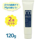 はみがき粉 ニューサイエンス マグネシウム 歯磨きペースト 120g×2個セット フッ素不使用 オーラルケア ブラッシング 口臭予防