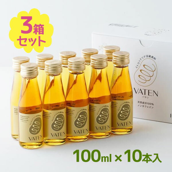 ミトコンドリア活躍飲料 VATEN バテン 100ml 10本入り×3箱セット 瓶入り 栄養ドリンク ノンカフェイン 健康食品 エナジードリンク 福光屋 保存料無添加