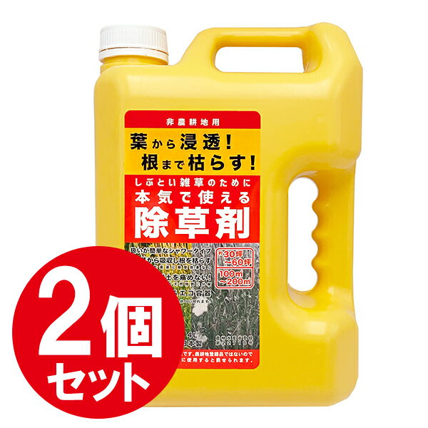 除草剤 非農耕地用 4L×2個セット 雑草対策 草刈り不要 液体タイプ 大容量 業務用 家庭用 日本製 多年生雑草 一年生雑草 除去 スギナ 根から枯らす 根こそぎ 庭 公園 道路 駐車場 宅地 強力