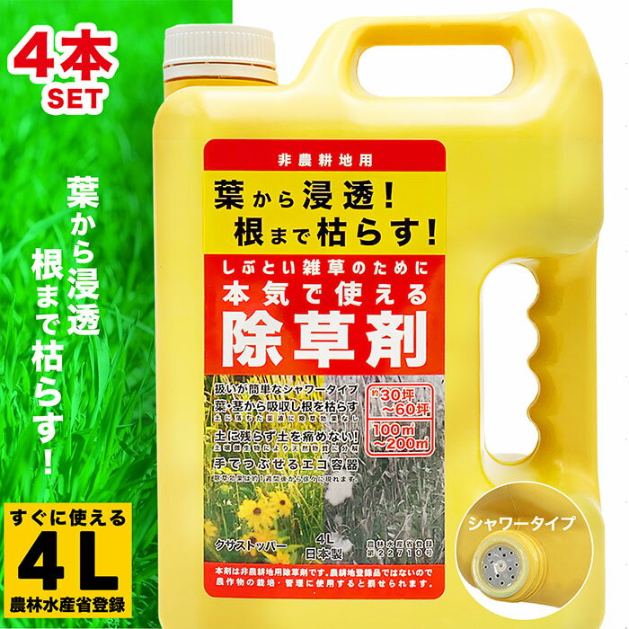 除草剤 非農耕地用 4L×4個セット 雑草対策 草刈り不要 液体タイプ 大容量 業務用 家庭用 日本製 多年生雑草 一年生雑草 除去 スギナ 根から枯らす 根こそぎ 庭 公園 道路 駐車場 宅地 強力