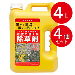 除草剤 非農耕地用 4L×4個セット 雑草対策 草刈り不要 液体タイプ 大容量 業務用 家庭用 日本製 多年生雑草 一年生雑草 除去 スギナ 根から枯らす 根こそぎ 庭 公園 道路 駐車場 宅地 強力