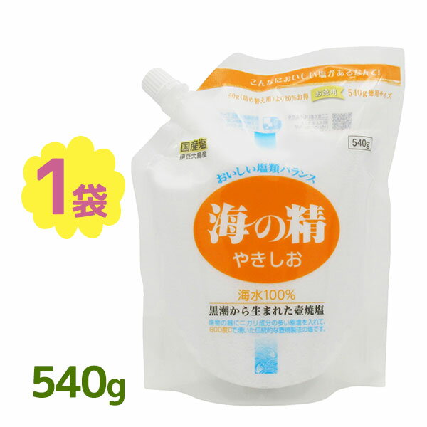 塩 国産 海の精 やきしお 540g スタンドパック 調味料 焼き塩 ソルト焼塩 やきじお さらさら 肉料理 ス..