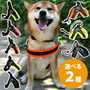 【マラソン限定クーポンで500円OFF!】トレポンティ フィッビア ソフトメッシュ ペット用品 犬 小型犬 2.5号 犬用 ペット バックル 反射 散歩 夜道 ...