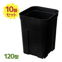 【スーパーSALEで使える!500円OFFクーポン配布中!】鉢 植木鉢 深鉢 プレステラ 深型 ブラック 120型 10個セット プランター 花 観葉植物 シッ...