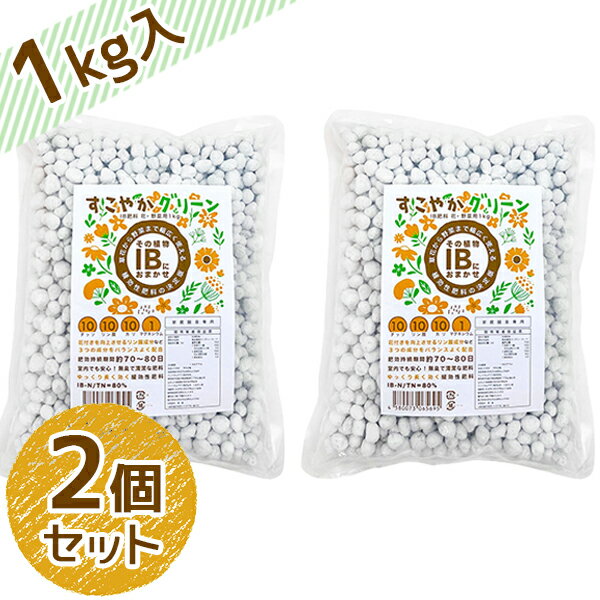 IB 化成肥料 大粒 顆粒 1kg×2個セット 花・野菜用 土壌改良 栄養剤 水稲 追肥 置き肥 元肥 家庭菜園 業務用 ガーデニング 植木 観賞植物