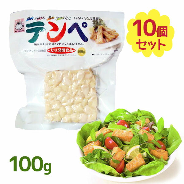【マラソン限定クーポンで500円オフ♪】テンペ 100g 10個セット 発酵食品 ヘルシー 大豆ミート 糖質制限 大豆 タンパク質 置き換え 保存食 非常食 スーパーフード まとめ買い