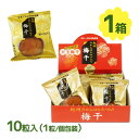 【マラソン限定クーポンで500円OFF!】梅 紀州みかんはちみつ入り梅干 10粒 南高梅 梅干し うめぼし マルチョウフーズ 大玉 個包装 和歌山