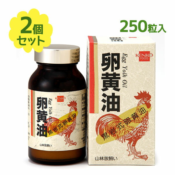 卵黄油 250粒×2個セット 健康フーズ ソフトカプセル 黒岩式卵黄油 国内製造 健康補助食品 健康 まとめ買い