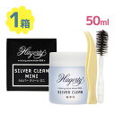 ハガティー シルバークリーンミニ 50ml シルバー アクセサリー ジュエリー ピンセット付き ブラシ付き