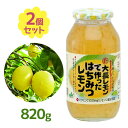 はちみつレモン 大長レモン 820g 2個セット ギフト プレゼント 夏休み 部活 レモンサワー チューハイ 焼酎 国産 れもん 檸檬 ハチミツ スイーツ はち...