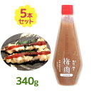 【スーパーSALEで使える!500円OFFクーポン配布中!】梅肉 うす塩味梅 塩分8% 340g×5本 濱田 石神の梅干し ペースト チューブ 梅 すっぱい 調...